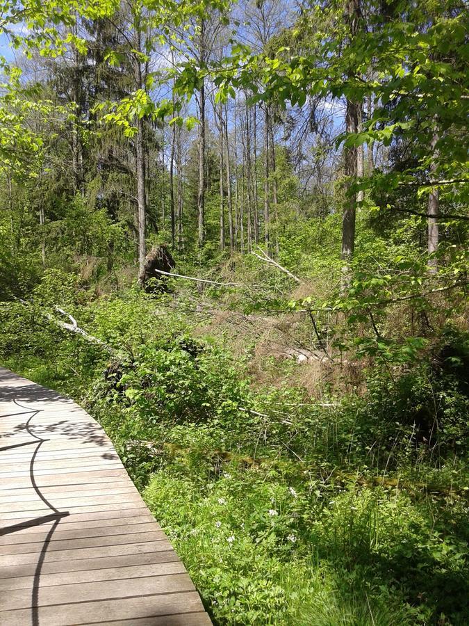 Hostal Cztery Pory Roku Białowieża Exterior foto