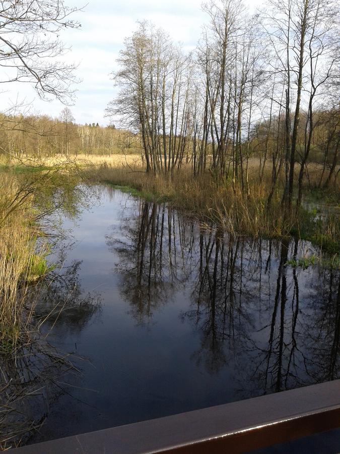 Hostal Cztery Pory Roku Białowieża Exterior foto